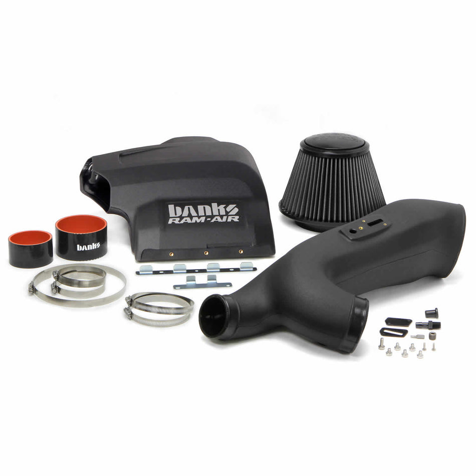 Ram-Air Intake Syst Dry Filter - 2011-14 Ford F-150 3.5L EcoBoost